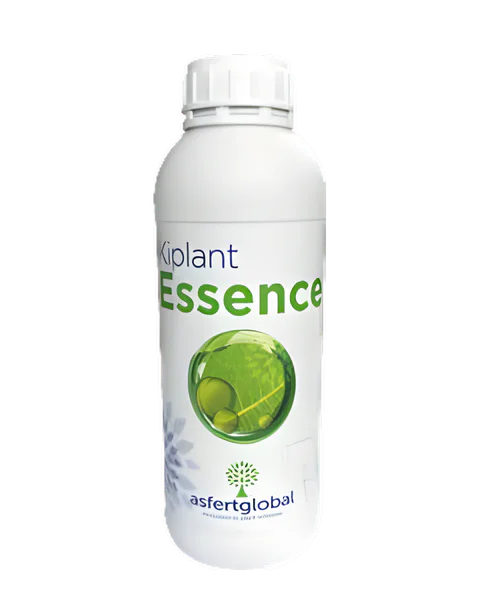 Kiplant Essence — Asfert Global ambalajı · Topraklı Tarım Konya
